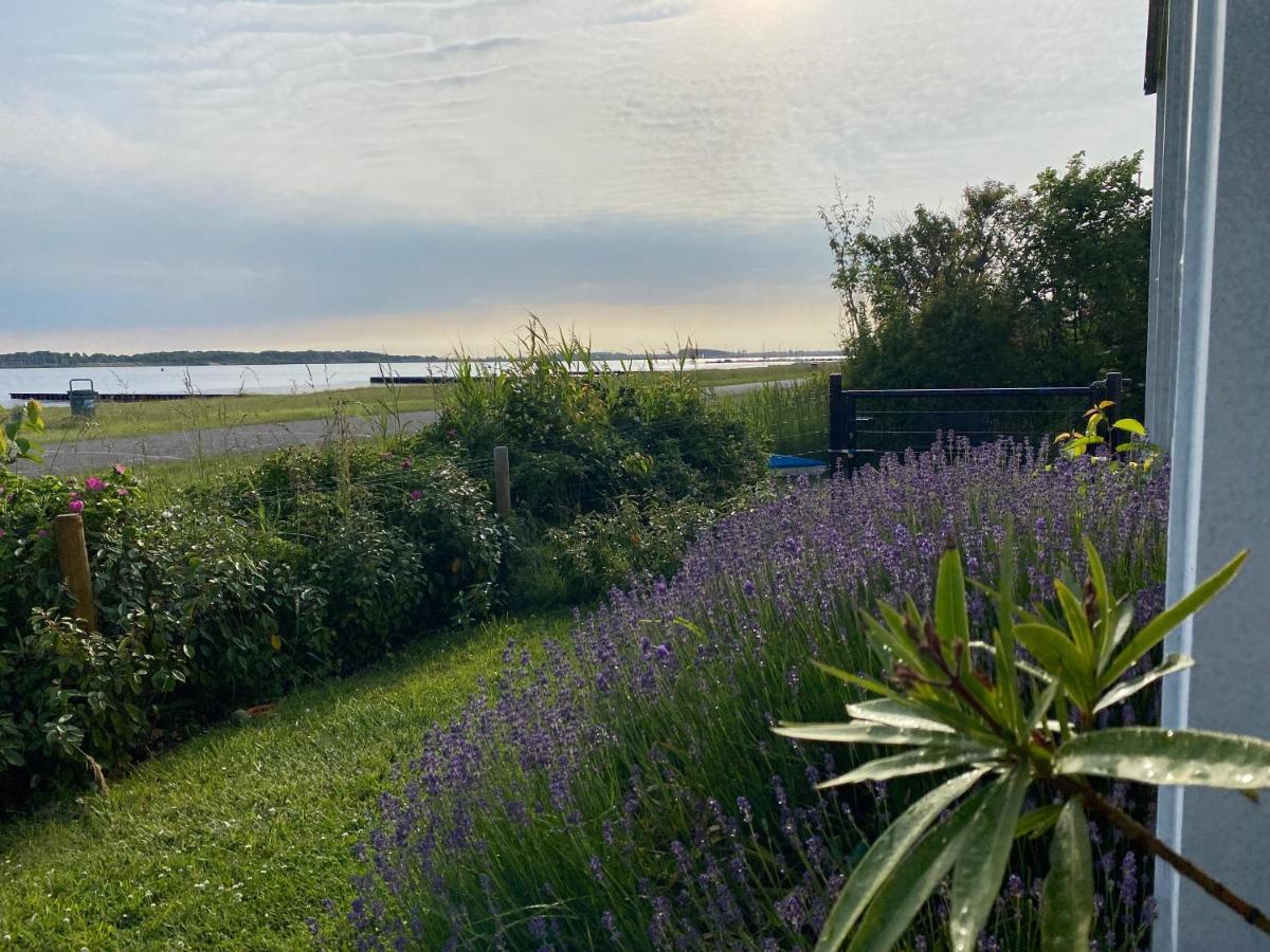 Villa Veerse Meer Kamperland Exteriér fotografie